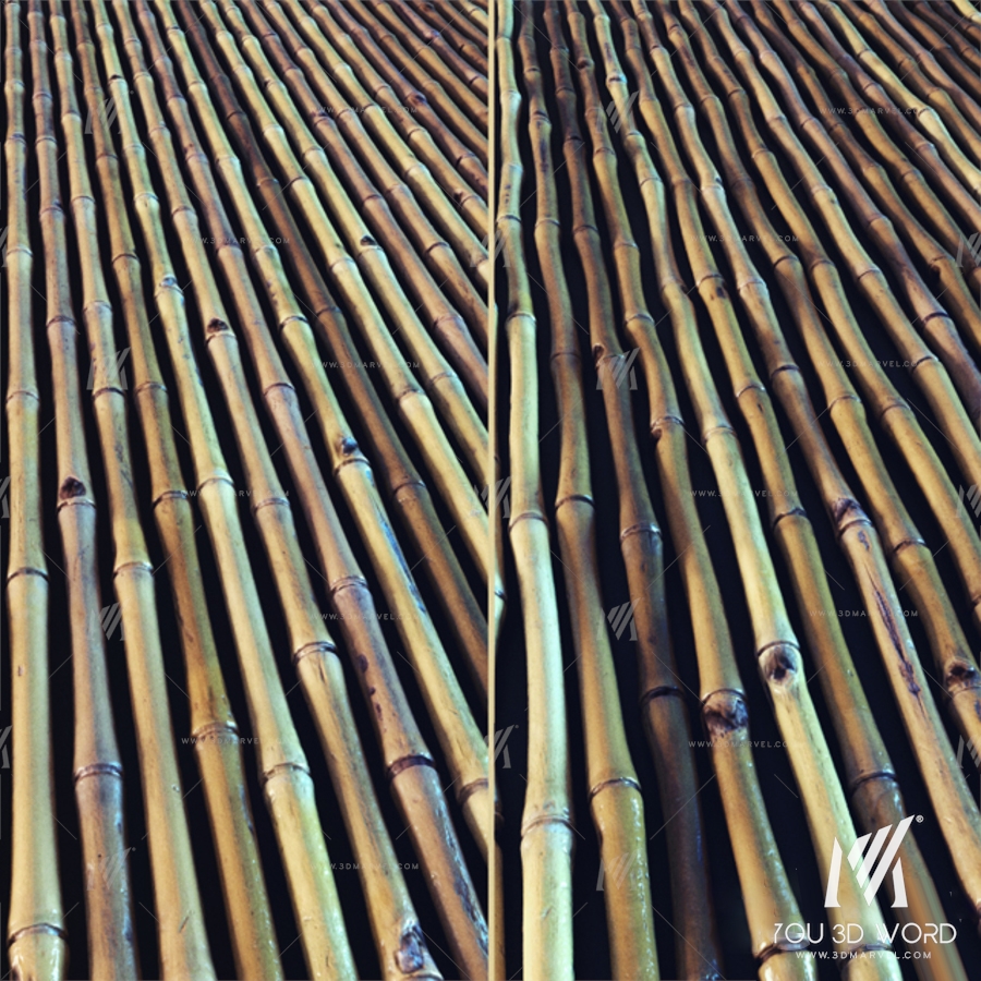 Bamboo