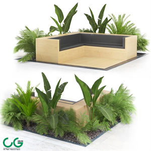 Flowerbed_Palm