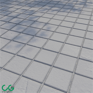 Paving stones 7