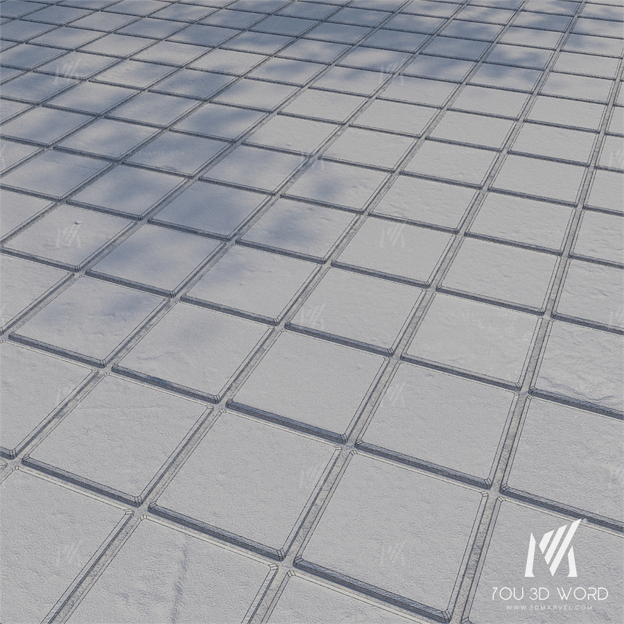 Paving stones 7