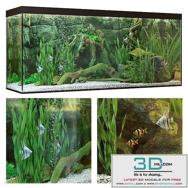 Aquarium