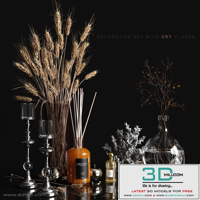 Decorative set with dry plants