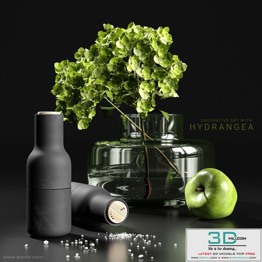 Decorative set with hydrangea