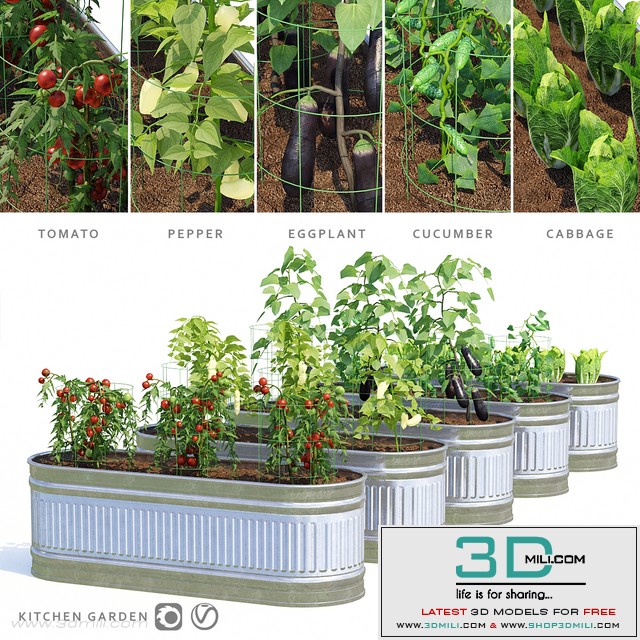 Garden | Kitchen garden