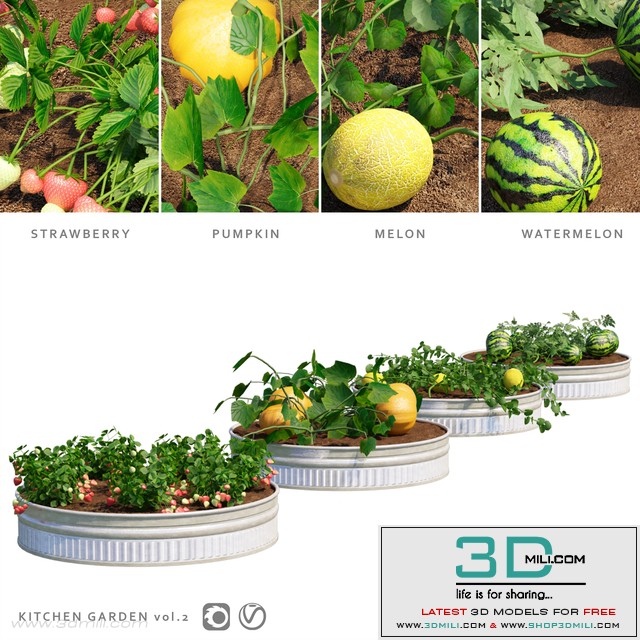 Garden | Kitchen garden.vol 2