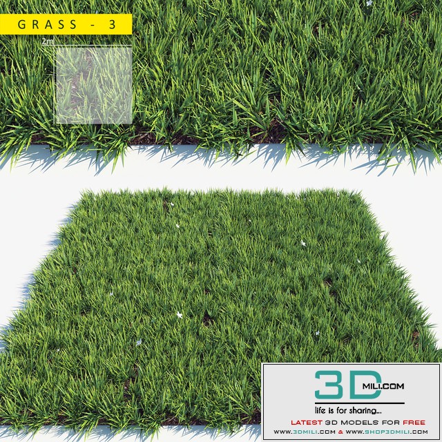Grass 3