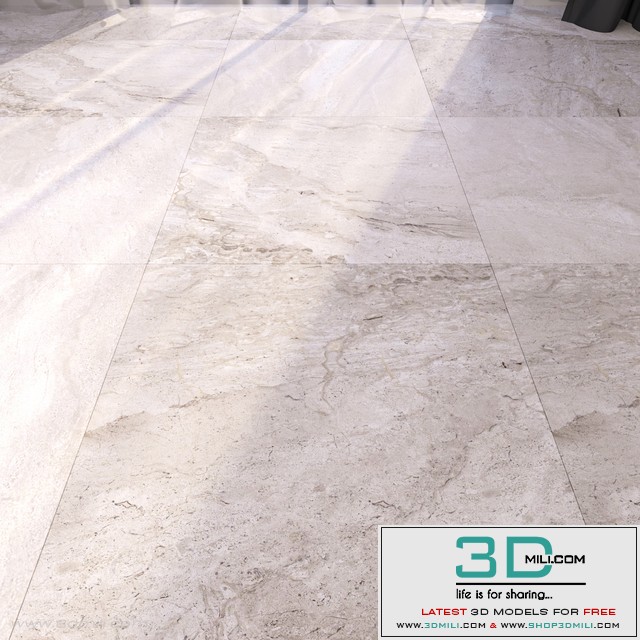 Marble Floor 269
