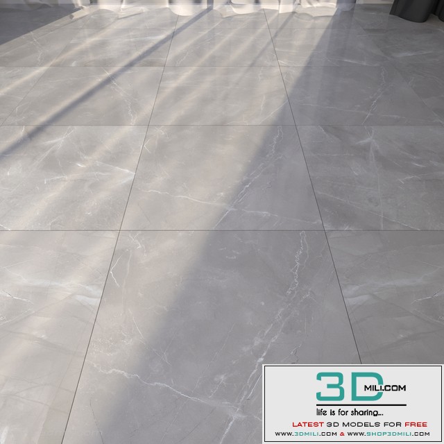Marble Floor 273