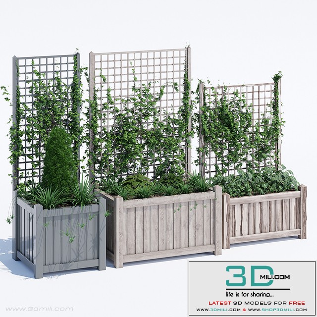 Square trellis