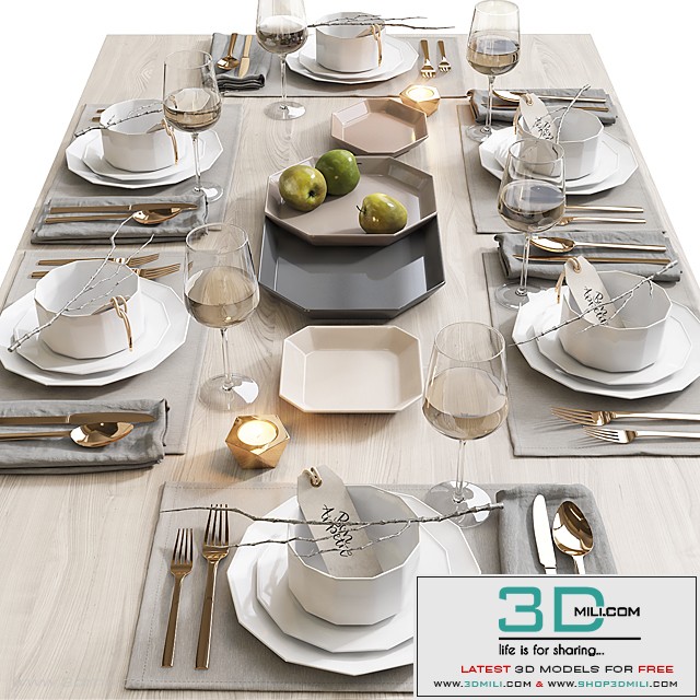 Table setting / Table setting 5