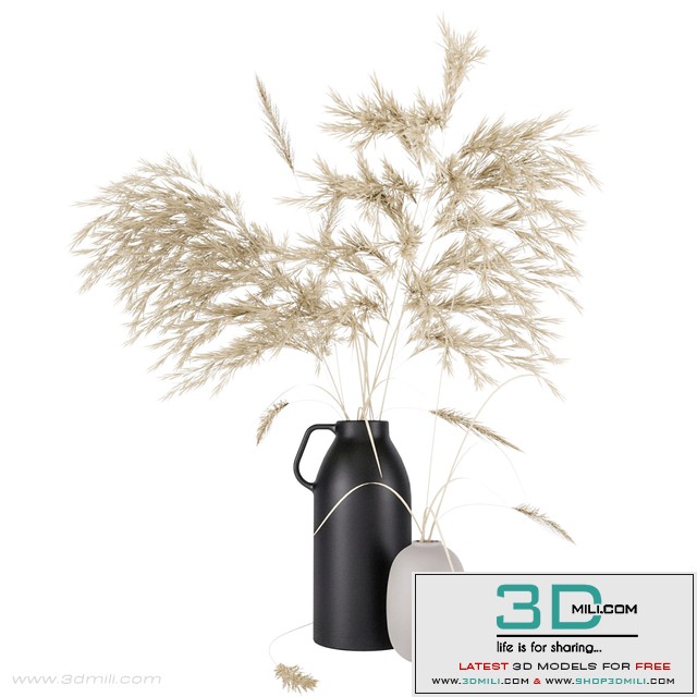 Vases set by H & M with pampas grass