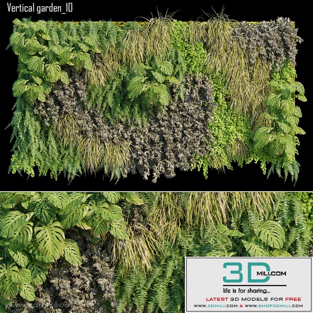 Vertical garden 10