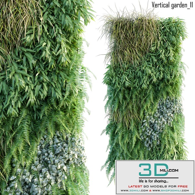 Vertical garden 11