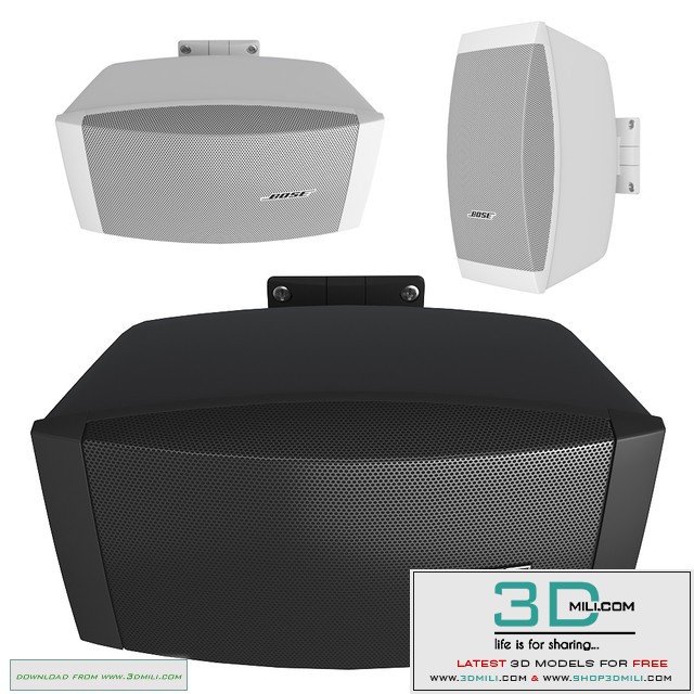 Bose FreeSpace DS40SE