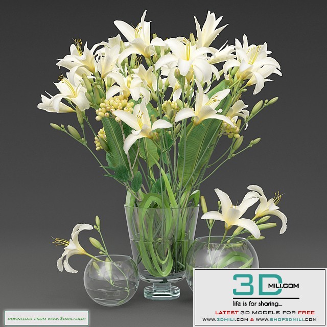 Daylily_vase PRO $7 Royalty free