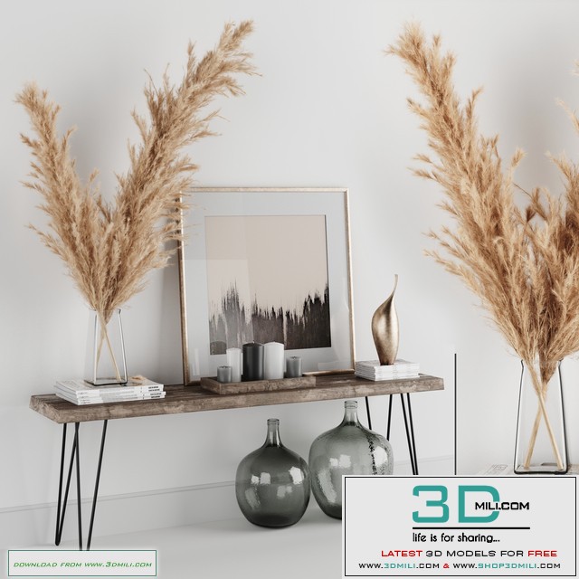 Decoration Set 01 pampas & Console