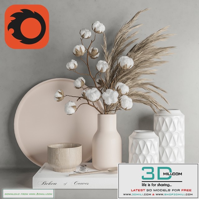 Decoration Set 22 Cotton and Vase.