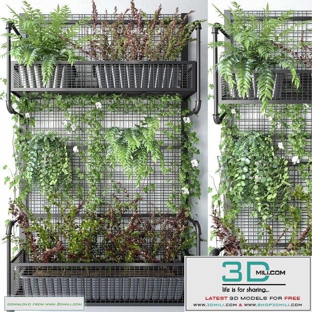 JC Wall Grid Plant Pot 5