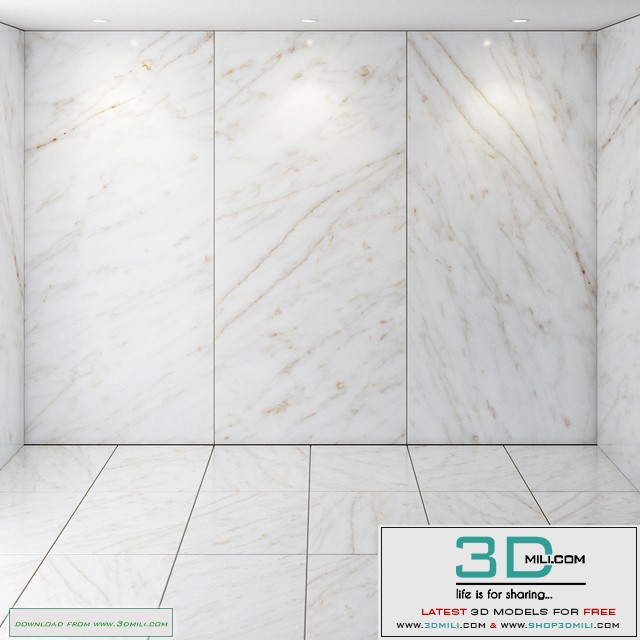 Marble_026