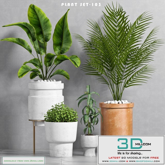 PLANT SET -103
