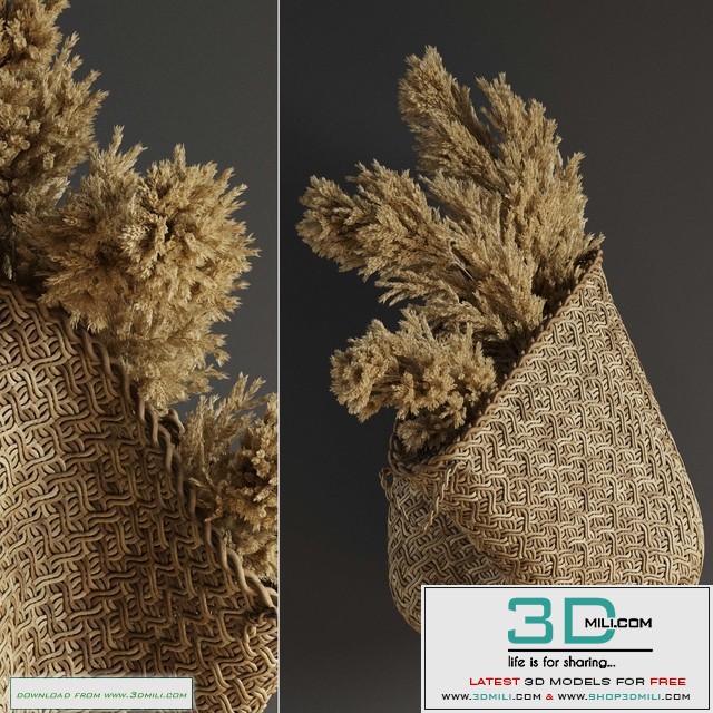 Pampas flower in hand basket