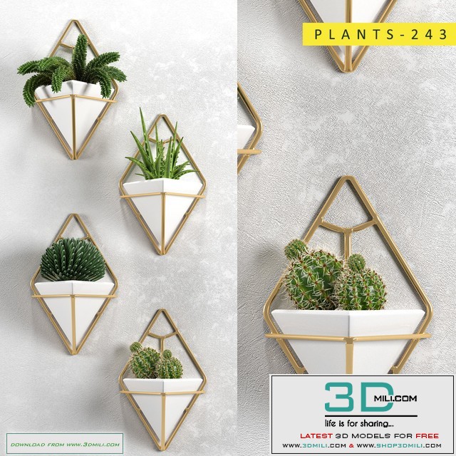 Plants 243