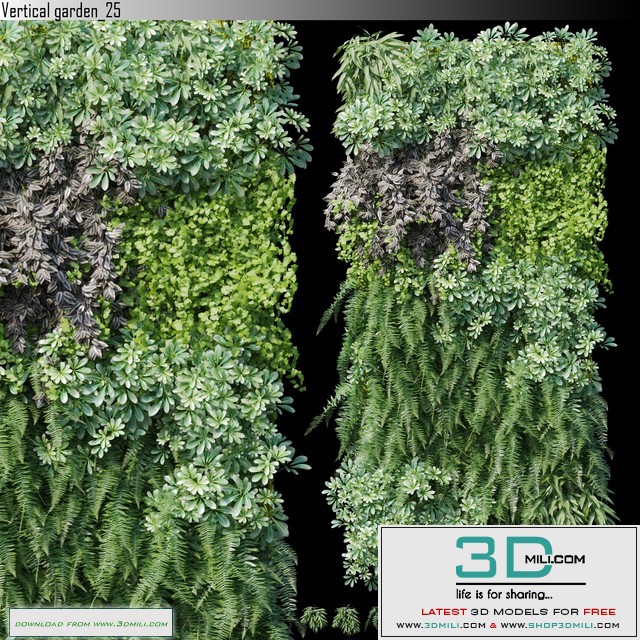 Vertical garden_25