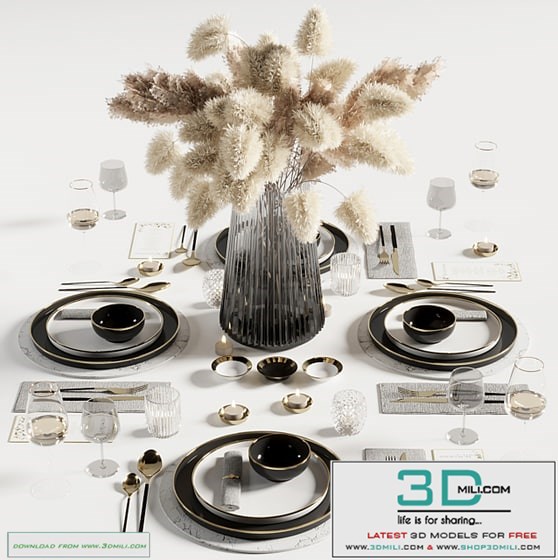 tableware set6